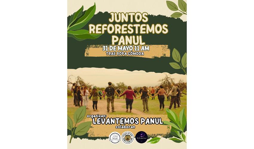 Levantemos Panul