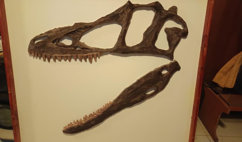 muestra creada en conmemoración a los 120 años de la publicación de tyrannosaurus rex