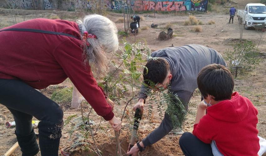 Tres personas de distintas edades plantando un arbol