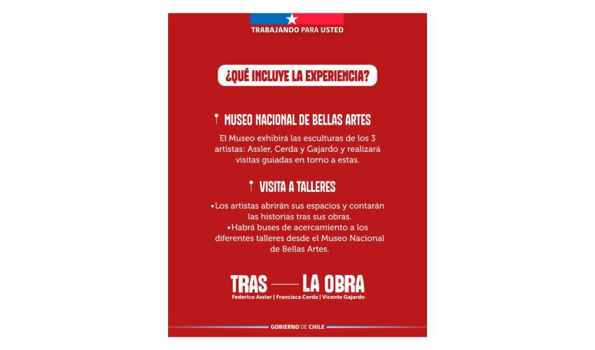 Afiche 2