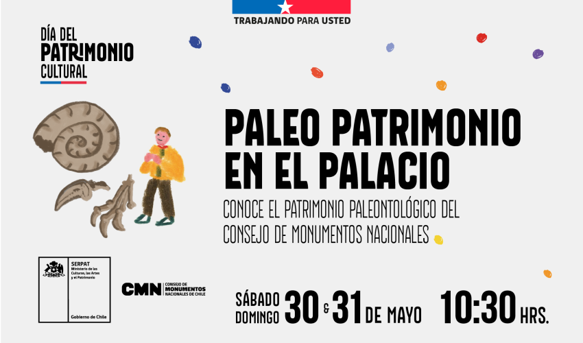 "Paleo Patrimonio en el Palacio" (Apertura del depósito de Paleontología)
