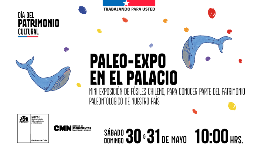 "Paleo-Expo en el Palacio" (Exposición de Fósiles en el Crucero del Palacio Pereira)
