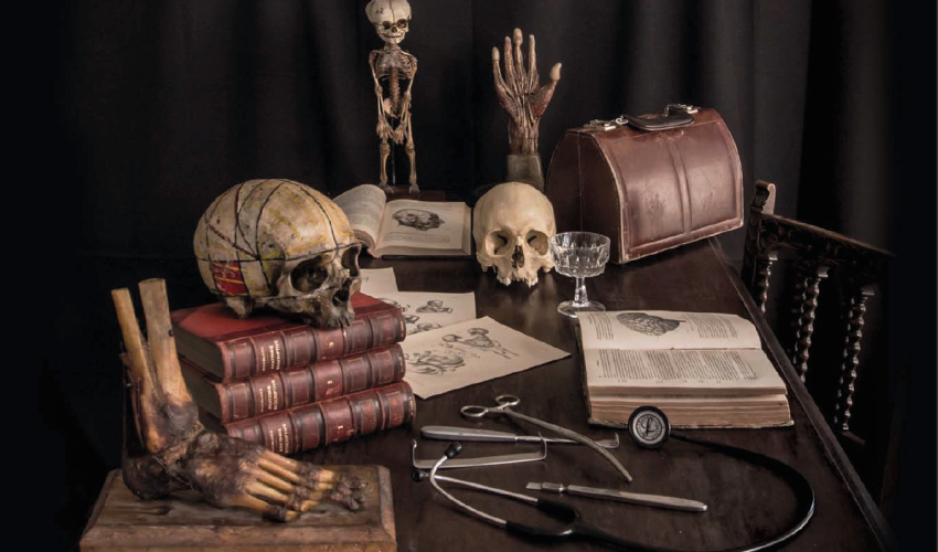 Enseñanza de la anatomia 