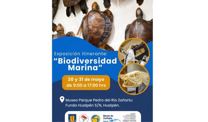 Exposición Itinerante "Biodiversidad marina"