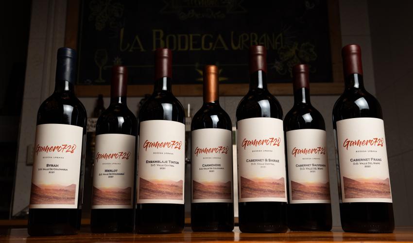 Línea de vinos Gamero728