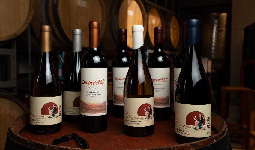 Bodega Urbana Gamero728 con nuestras líneas de vinos en Sala Degustación