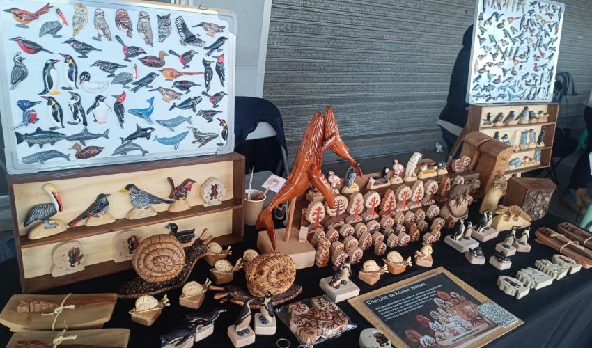 Feria Expo Eco Emprendedores 