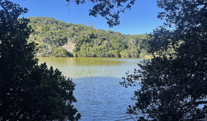 ruta laguna verde 