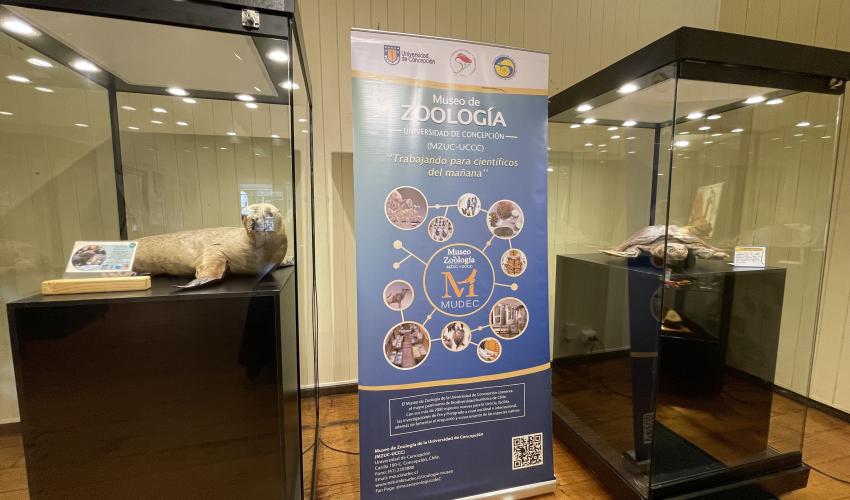 Exposición Itinerante "Biodiversidad marina"
