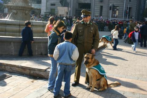 DPC 2005